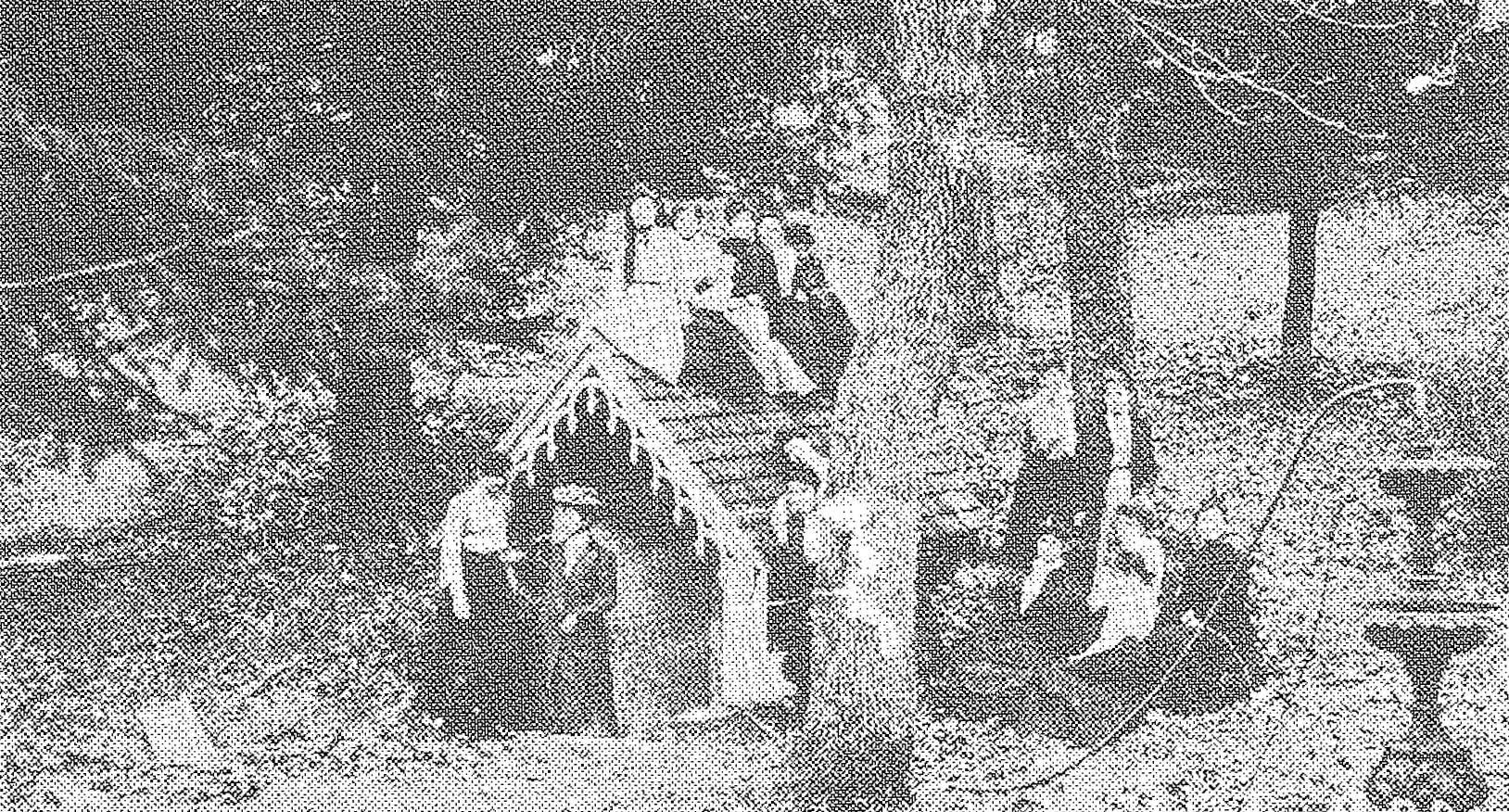 1903